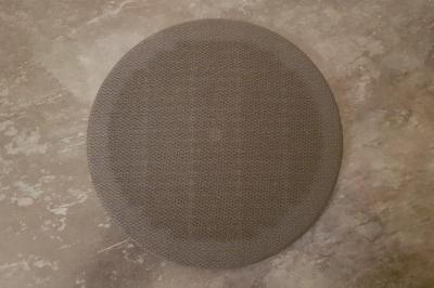 R25 F Speaker grill.jpg