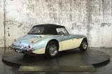 AustinHealey8.jpg