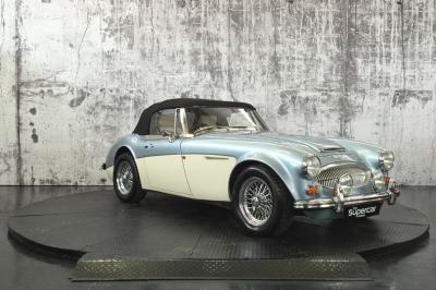 AustinHealey6.jpg